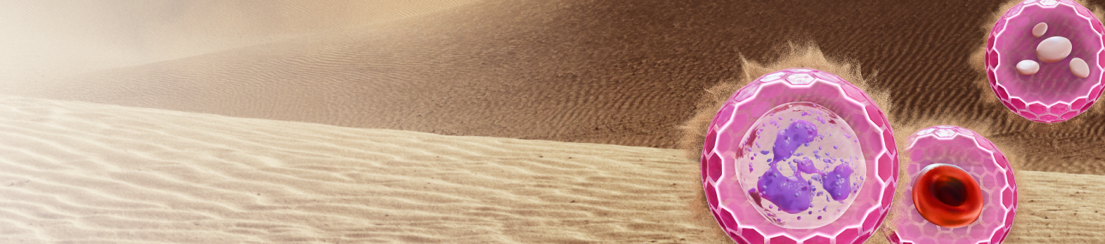 Navbar Image
